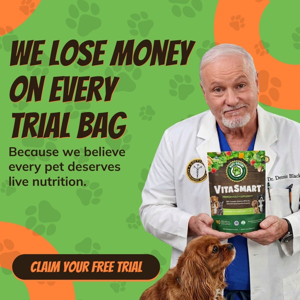 A high-authority pet supplement ad featuring a doctor holding a product bag with a bold, curiosity-driven value proposition.